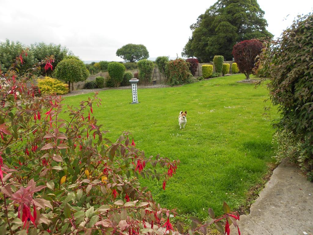 Villa Castlehaven Donaghmore  Exterior foto