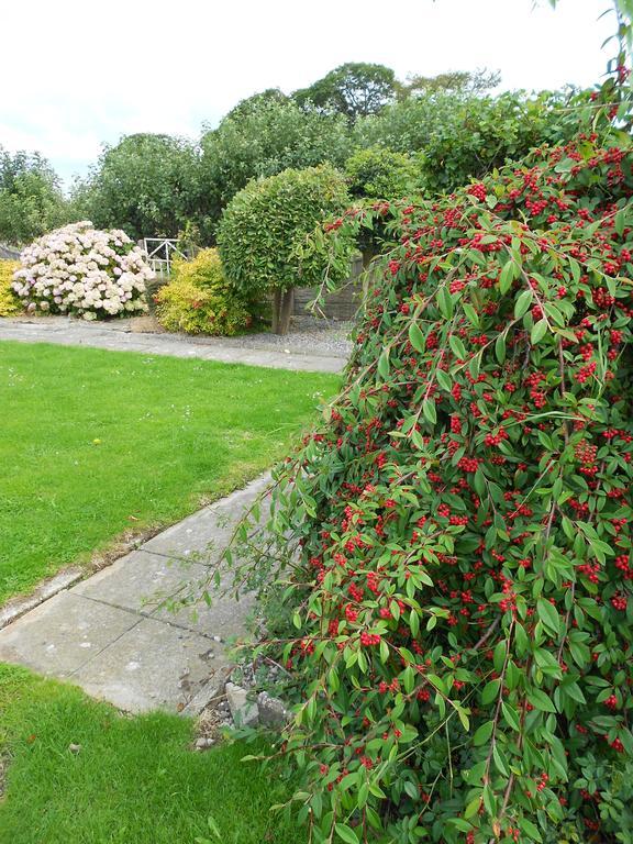 Villa Castlehaven Donaghmore  Exterior foto